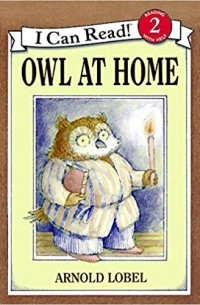 Owl at Home