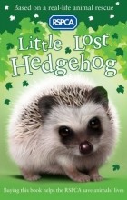Jill Hucklesby - Little Lost Hedgehog