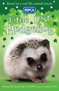 Jill Hucklesby - Little Lost Hedgehog