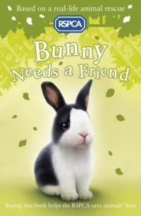 Jill Hucklesby - Bunny Needs a Friend