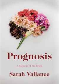 Сара Вэлланс - Prognosis: A Memoir of My Brain