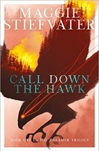 Мэгги Стивотер - Call Down the Hawk