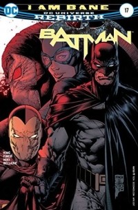 Batman #17