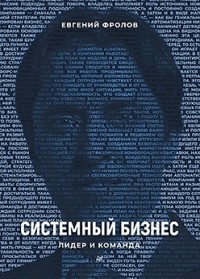 Евгений Фролов - Системный бизнес. Лидер и команда