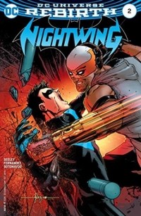  - Nightwing #2