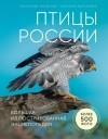 Александр Матанцев - Птицы России. Большая иллюстрированная энциклопедия