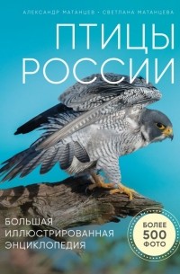 Александр Матанцев - Птицы России. Большая иллюстрированная энциклопедия