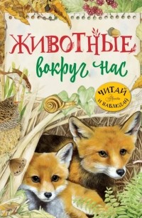 Животные вокруг нас