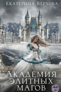 Академия элитных магов