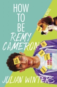 Julian Winters - How to Be Remy Cameron