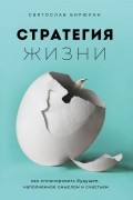 Святослав Бирюлин - Стратегия жизни. Как спланировать будущее, наполненное смыслом и счастьем