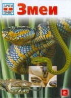 Дитмар Мертенс - Змеи