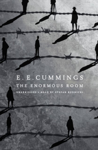 The Enormous Room