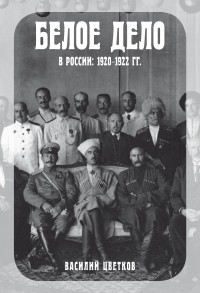 Василий Цветков - Белое дело в России. 1920–1922 гг.