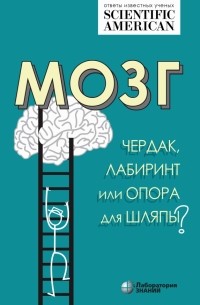  - Мозг: чердак, лабиринт или опора для шляпы?