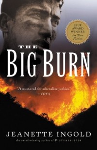 Жанетт Ингольд - The Big Burn