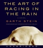 Гарт Стайн - Art of Racing in the Rain