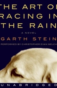Гарт Стайн - Art of Racing in the Rain