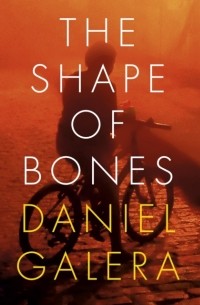 Shape of Bones