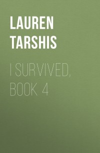 I Survived, Book 4