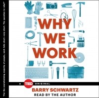 Барри Шварц - Why We Work