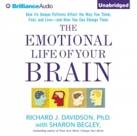 - The Emotional Life of Your Brain