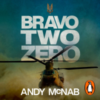 Энди Макнаб - Bravo Two Zero