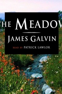 James Galvin - Meadow