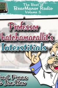 Joe Bevilacqua - Professor Whatchamacallit's Interstitials