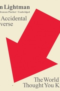 Алан Лайтман - Accidental Universe