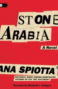 Дана Спиотта - Stone Arabia