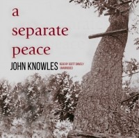 Джон Ноулз - A Separate Peace