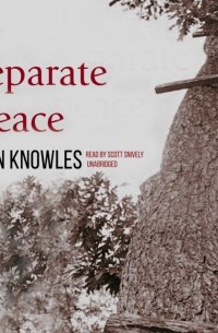 Джон Ноулз - A Separate Peace