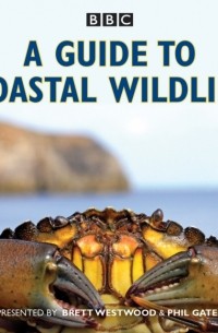 Стивен Мосс - Guide to Coastal Wildlife