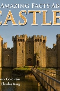 Jack Goldstein - 101 Amazing Facts about Castles