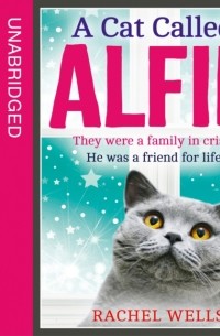 A Cat Called Alfie