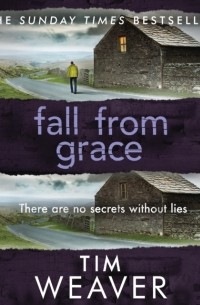 Tim Weaver - Fall From Grace
