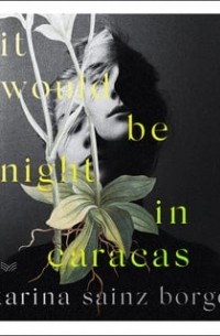 Karina Sainz Borgo - It Would Be Night in Caracas