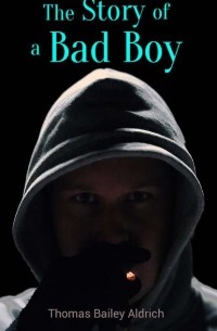 Томас Олдрич - The Story of a Bad Boy