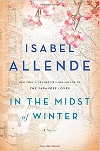 Isabel Allende - In the Midst of Winter