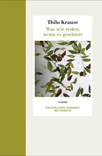 Was wir reden, wenn es gewittert