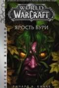 Ричард Кнаак - World of Warcraft: Ярость Бури