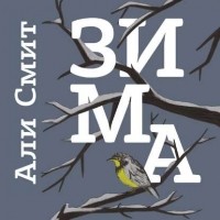 Али Смит - Зима