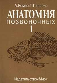  - Анатомия позвоночных: В 2-х томах. Том 1