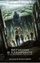 Джеймс Дэшнер - Бегущий в лабиринте