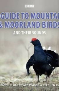 Стивен Мосс - Guide To Mountain And Moorland Birds And Their Sounds