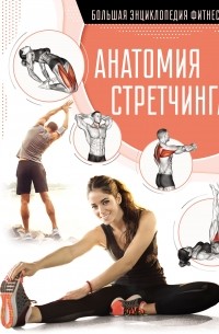 Наталья Степук - Анатомия стретчинга