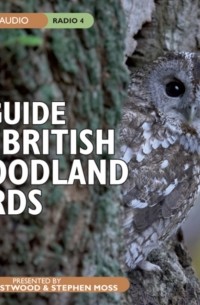 Стивен Мосс - Guide To British Woodland Birds