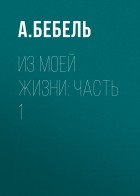 Фердинанд Август Бебель - Из моей жизни: Часть 1