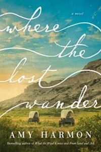 Amy Harmon - Where the Lost Wander